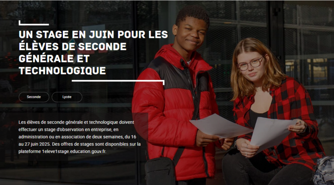 stage seconde visuel .png